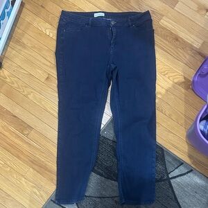 Lane Bryant Navy Skinny Jeans